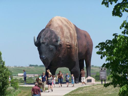 A buffalo that is big to the max