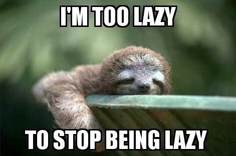 Sloths are all about chillaxing