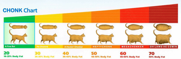 The original CHONK Chart