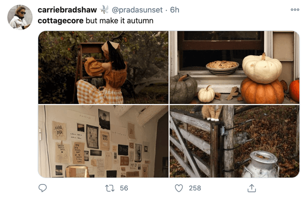One Twitter user's take on Autumnal cottagecore