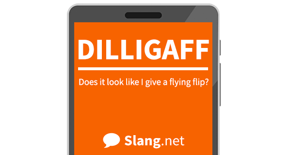 DILLIGAFF stands for &quot;Does it look like I give a flying flip?&quot;