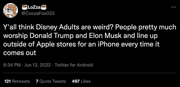 Tweet defending Disney adults