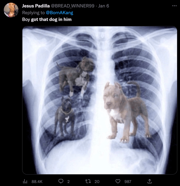 Many meme &quot;got that dog in him&quot; posts feature a chest x-ray with dogs in it