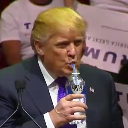 Trump drinking liberal tears