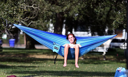 Mocker hanging out in the park