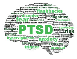 PTSD means 