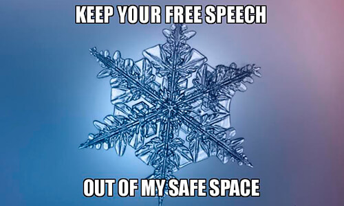 Snowflake meme mocking the call for campus &quot;safe spaces&quot;