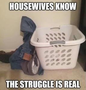 Housewife meme detailing the laundry struggle