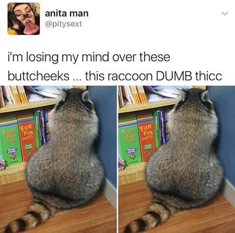 Thicc means 