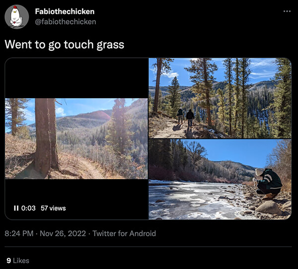 Touch grass tweet