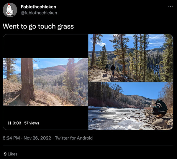 Touch Grass 