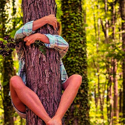 A tree hugger literally hugging a tree