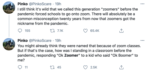 Zoomer What Is A Zoomer 