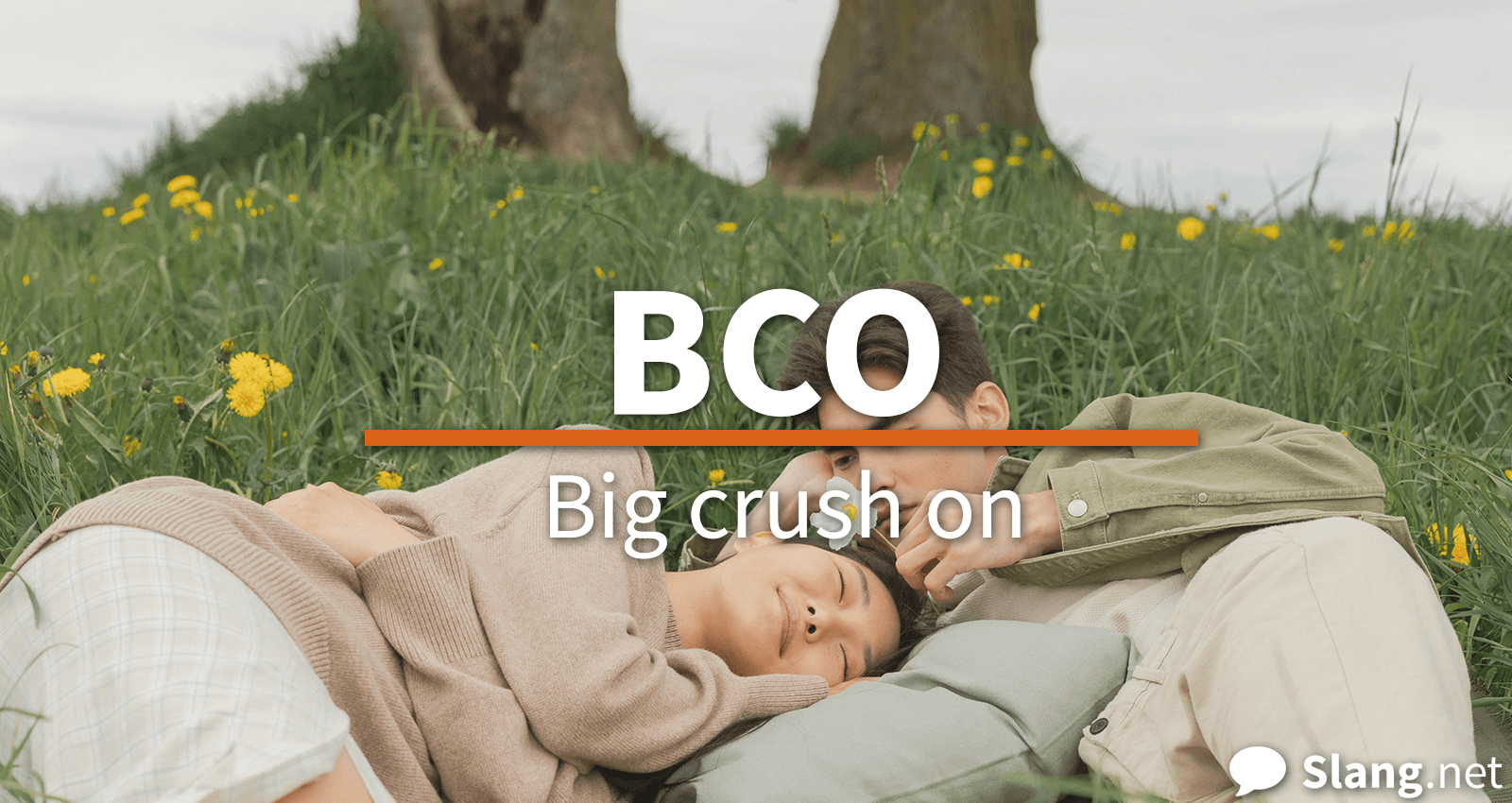 BCO stands for &quot;big crush on&quot;
