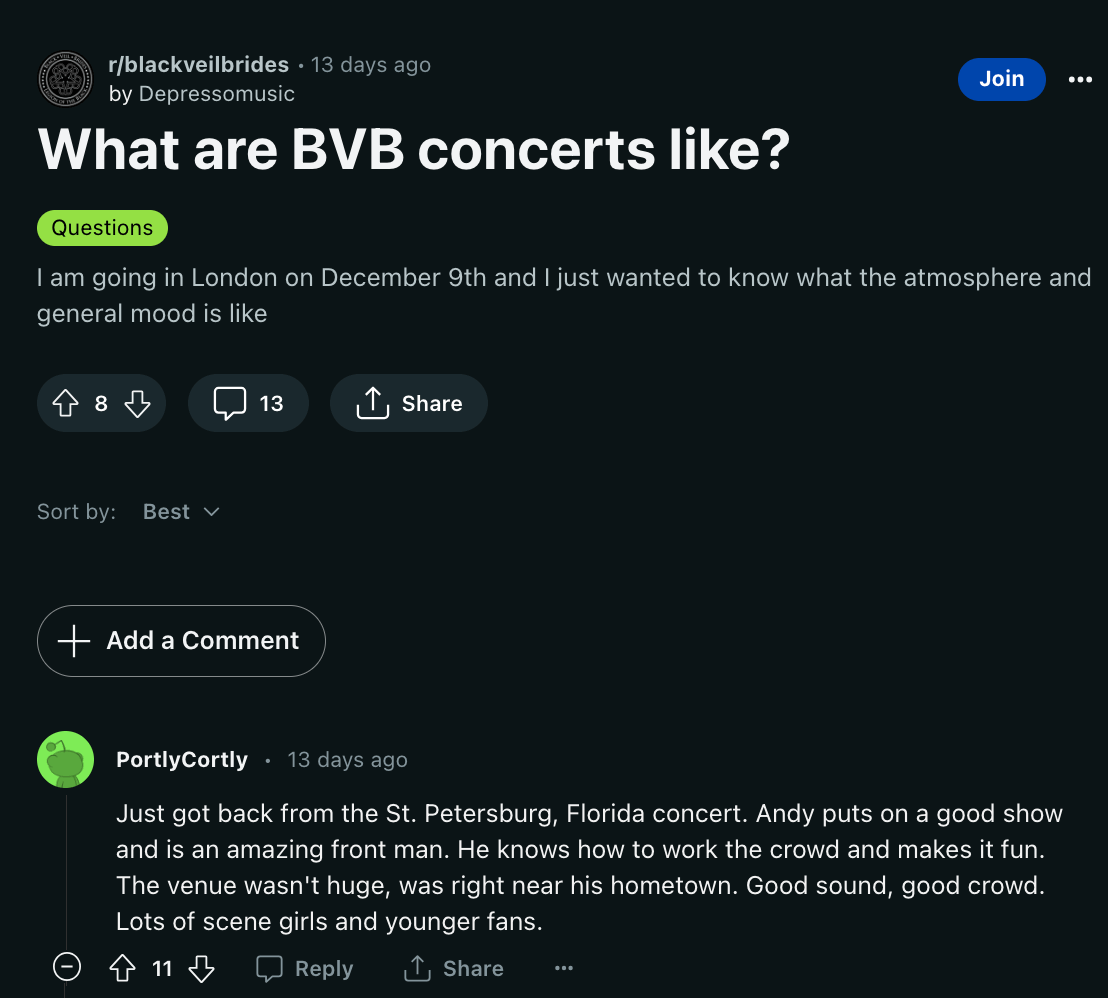 BVB fans discussing the atmosphere of the band's concerts