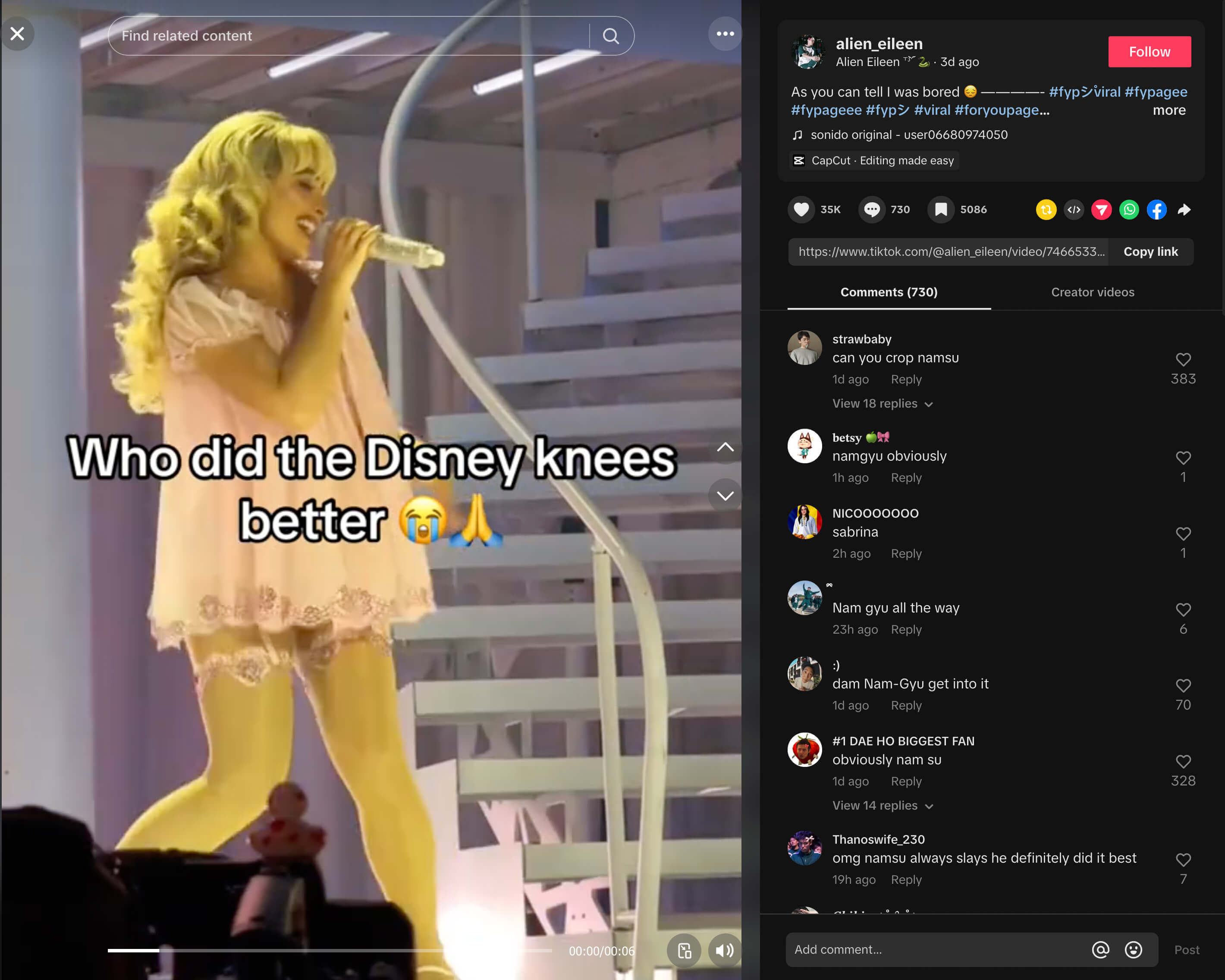 TikTok of Sabrina Carpenter&#039;s Disney knees