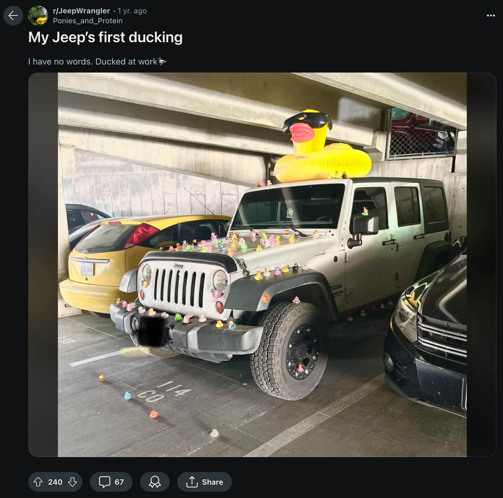 Reddit ducking post