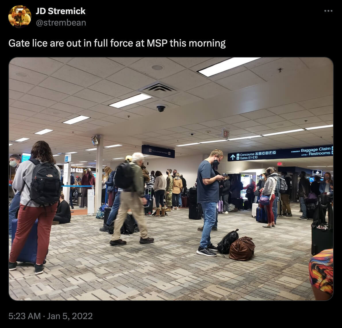 Gate lice at the Minneapolis-Saint Paul International Airport