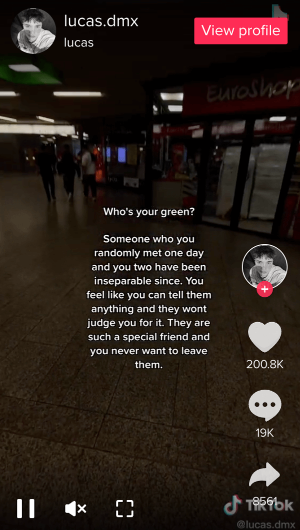 One TikToker's definition of green person