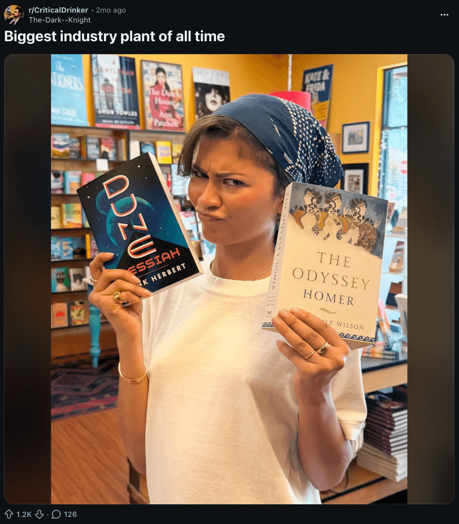 Redditor accusing Zendaya of being an industry plant