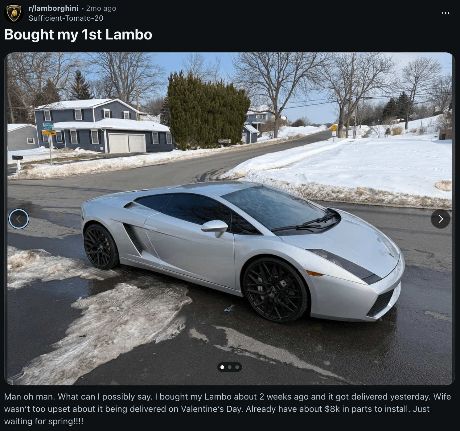 Reddit showing off his first lambo