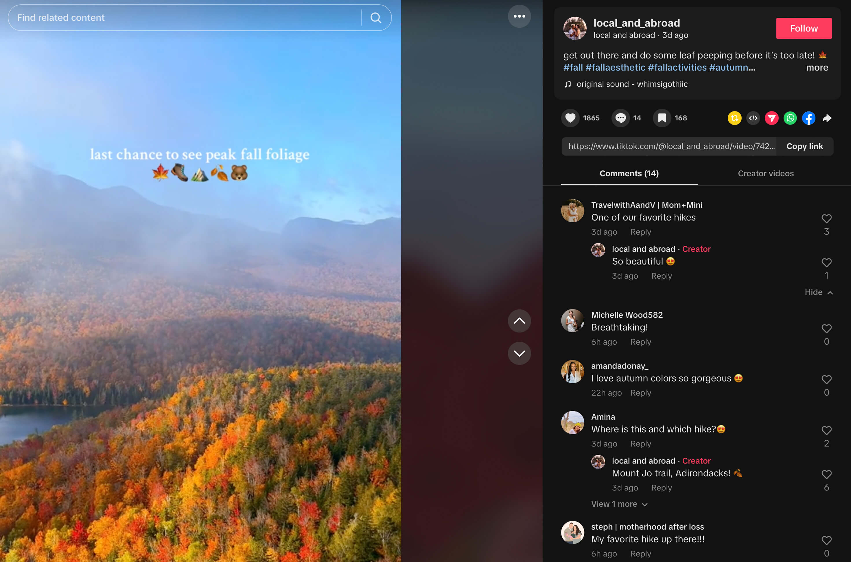 Leaf peeping on TikTok