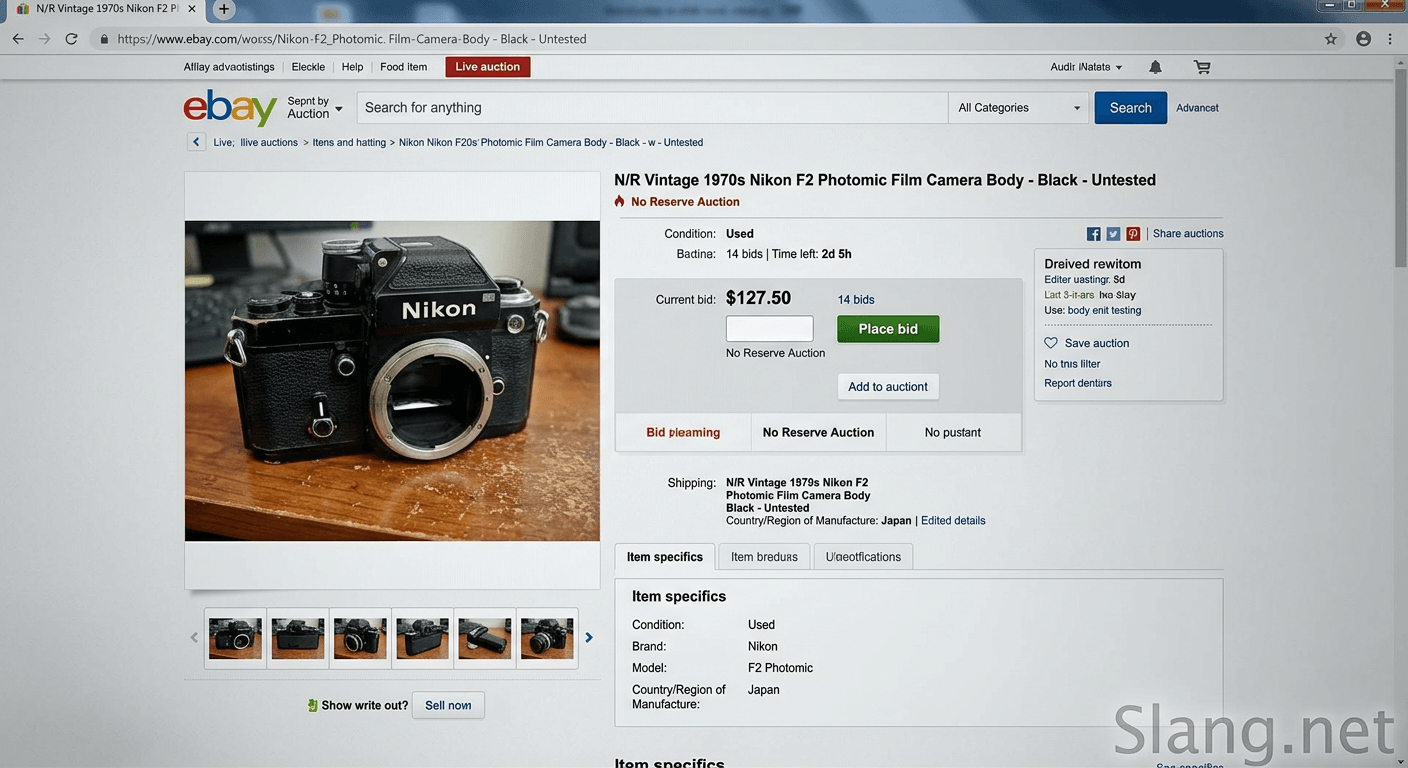 Example of an N/R item on eBay