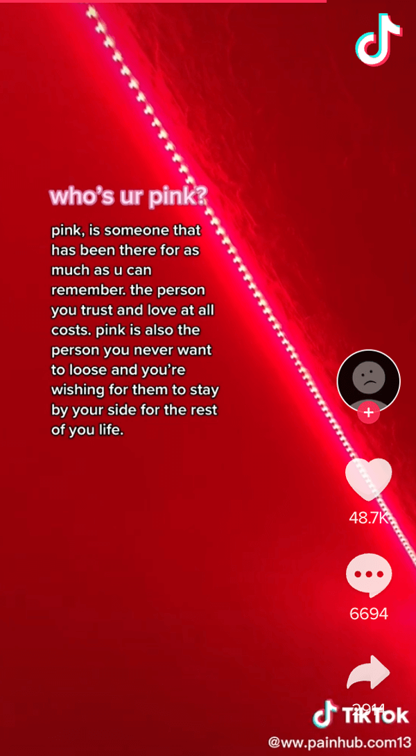One TikToker's definition of pink person