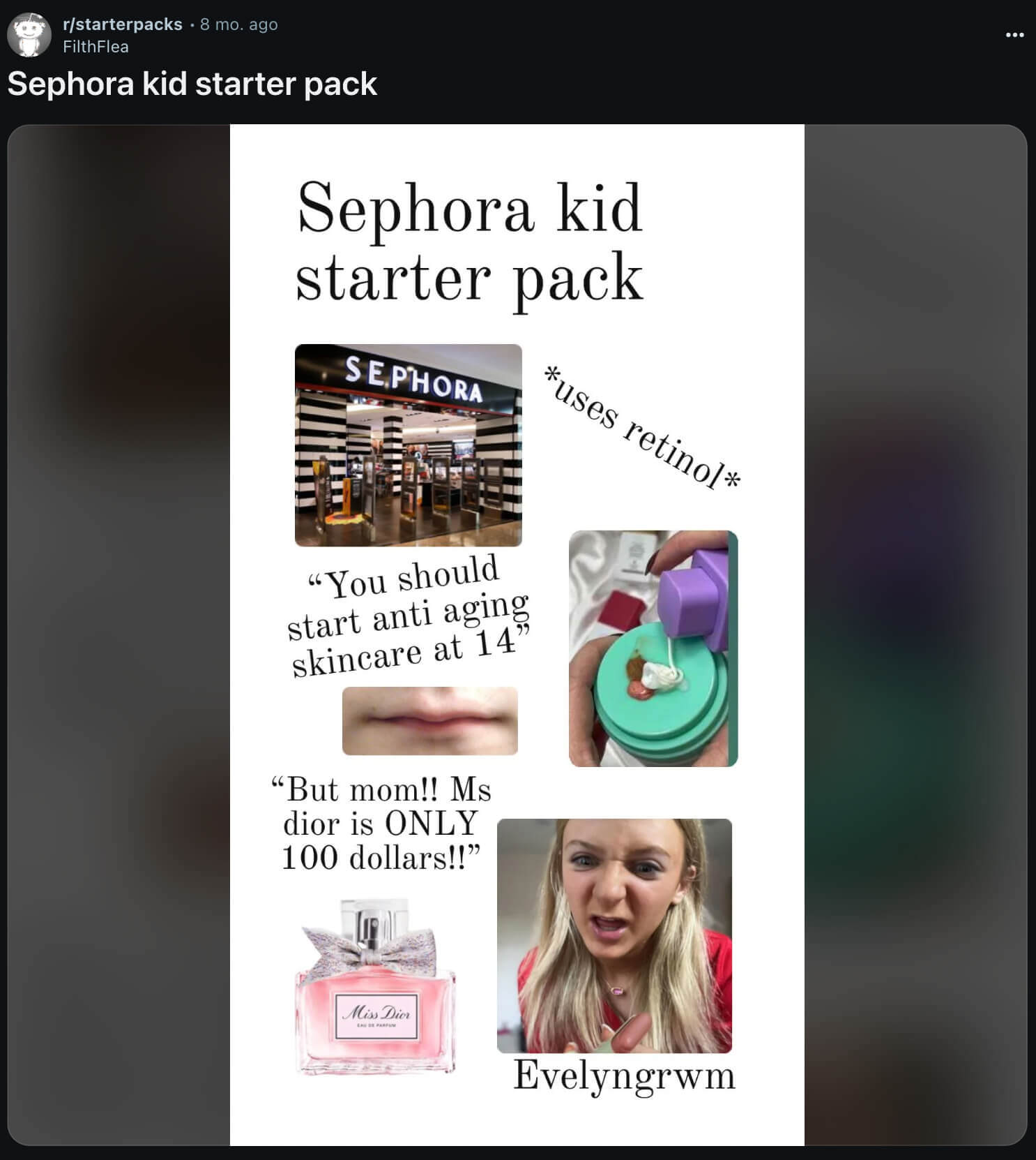 Sephora kid starter pack on Reddit