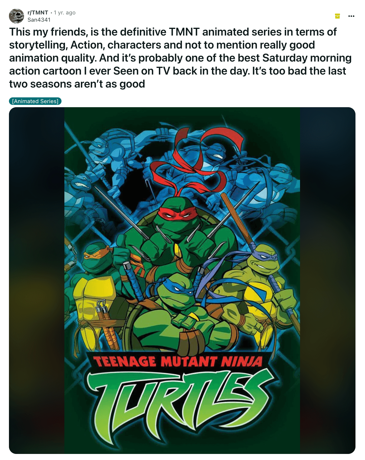 At this point, there have been many different versions of TMNT