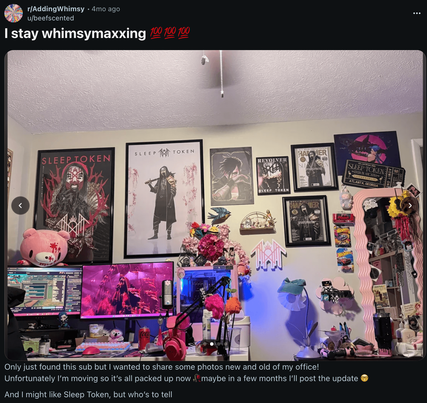 Reddit whimsymaxxing post