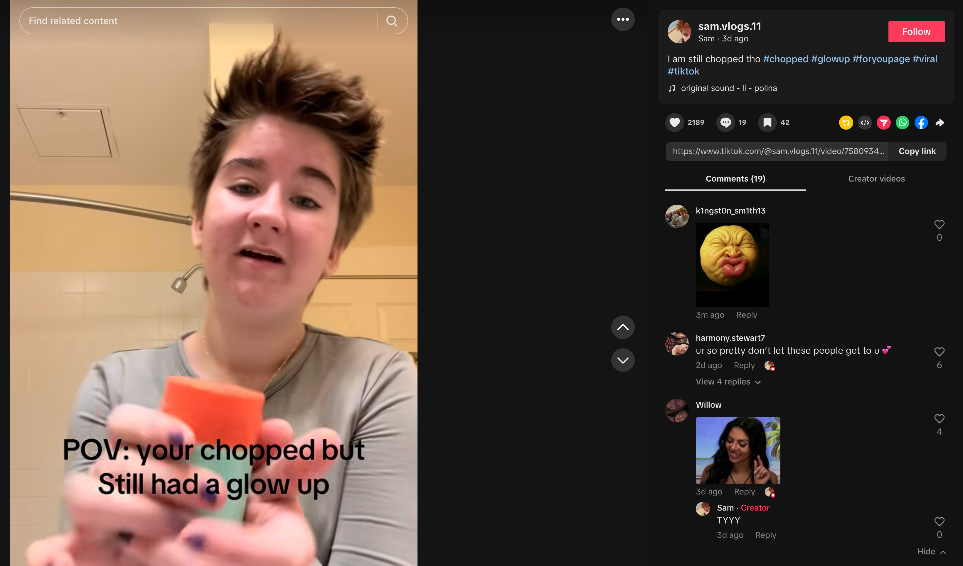 A chopped TikToker showing off their glow up 